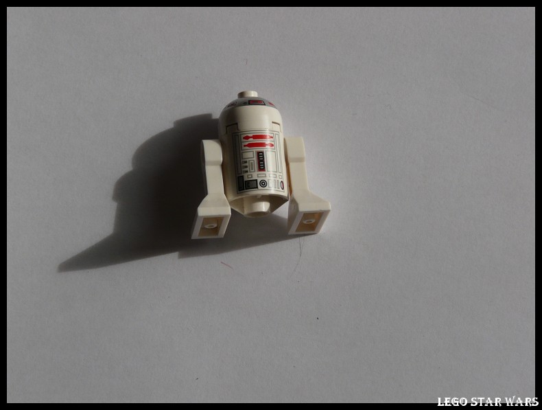 [LEGO] Univers STAR WARS : minifig et autres  P1090530