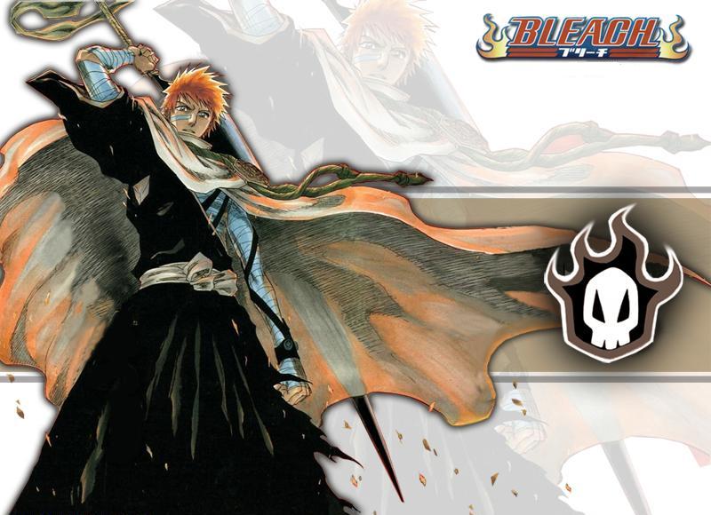 Bleach Brasil - Alguns personagens de Bleach e seus