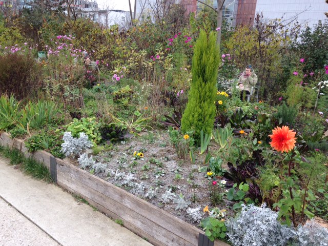 Exemple de jardin - jardin Serge Gainsbourg dans le XIXème Img_0010