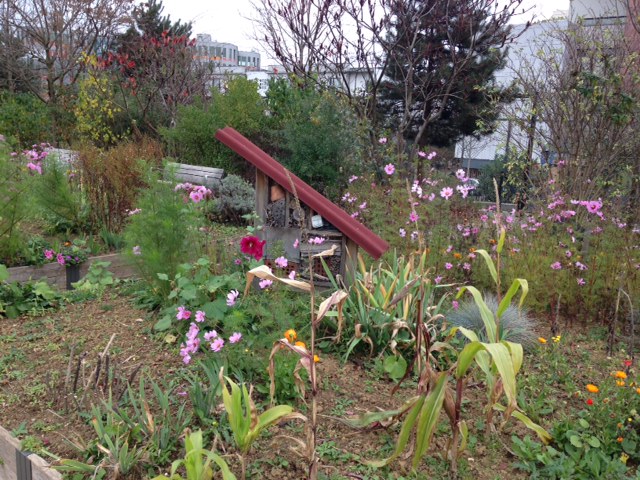 Exemple de jardin - jardin Serge Gainsbourg dans le XIXème Img_0017