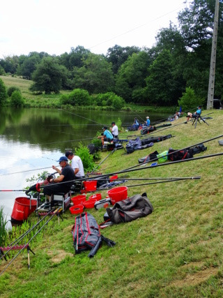 Concours Carpodrôme La Fontaine à Carpes - Page 12 Dsc02918