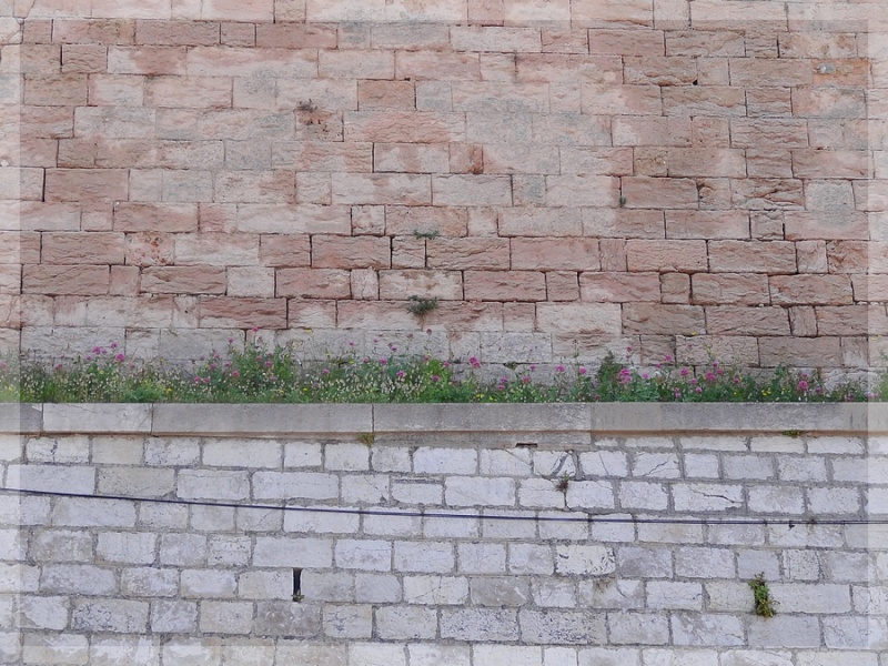 Murmures des murs ... 2013-020