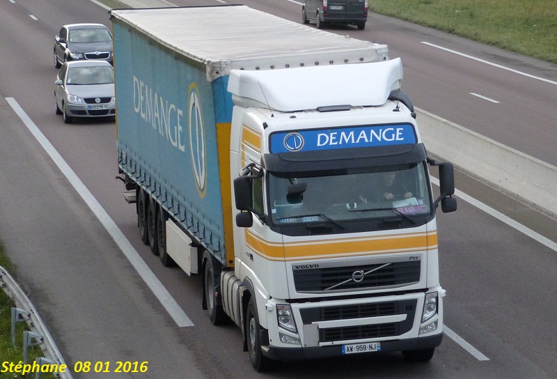 Demange (Flavigny sur Moselle, 54) P1330366
