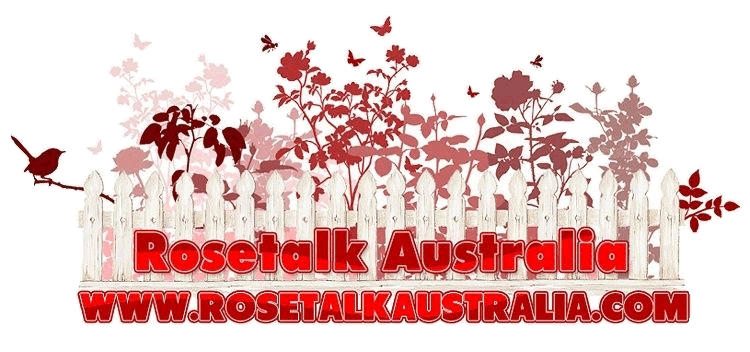 Rose Talk Australia