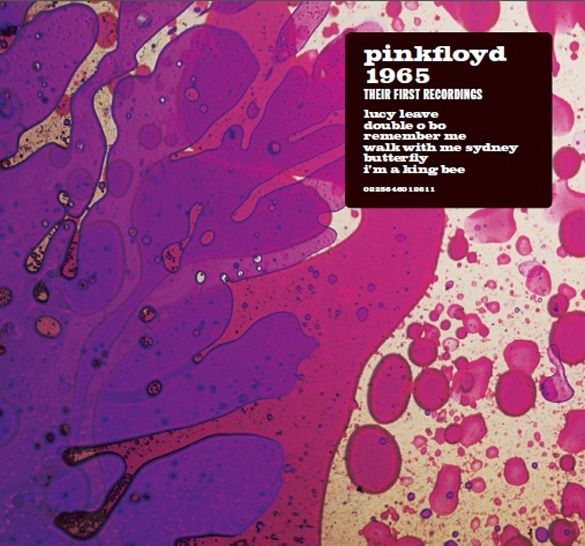 PINK FLOYD - Page 3 Pink-f10