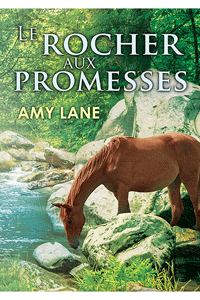 Promesses - Tome 1: Le rocher aux promesses de Amy Lane Keepin10