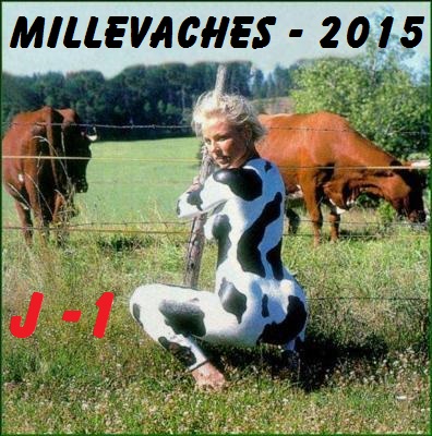 Hivernale des Millevaches 11-12-13 décembre 2015 Vache-10