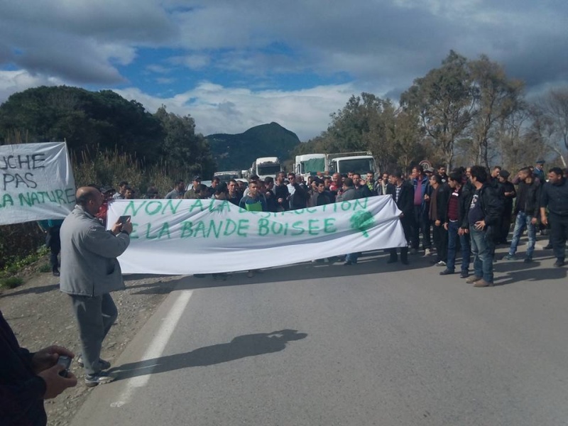 Rassemblement à Aokas 15 février 2016 pour dire "non à la destruction de la bande boisée" - Page 2 2610