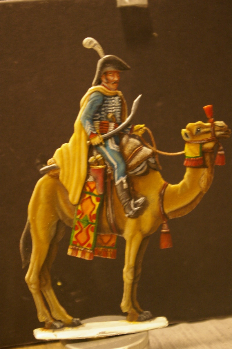 officier régiment des dromadaires en Egypte GLORIOUS EMPIRE 54 MM Dro_0025