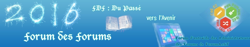 Concours : nouvel an - Page 2 Banniy13