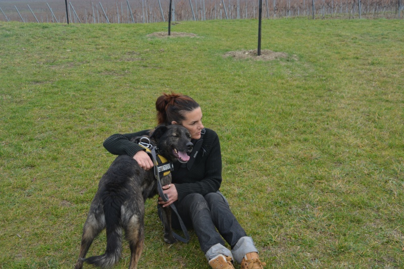 TANIA chienne X 2 ou 3 ans grand gabarit (SOS Chiens de France) Dsc_0413