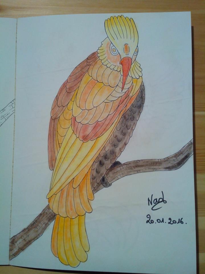Nad Gallery ( anciennement Nadoche ) - Page 3 12549010