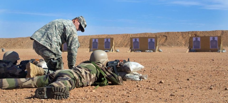 Forces Armées Nigeriennes / Niger Armed Forces ( FAN ) 12108