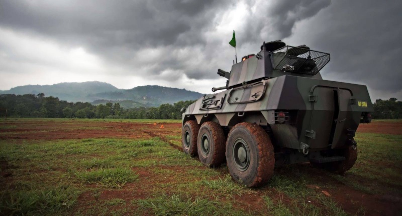 Armée Indonésienne / Indonesian National Armed Forces / Tentara Nasional Indonesia - Page 19 12130