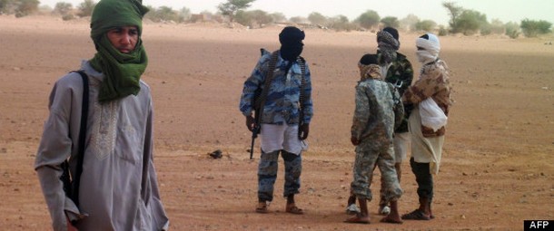 Intervention militaire au Mali - Opération Serval - Page 8 12139