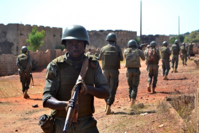 Intervention militaire au Mali - Opération Serval - Page 8 12196