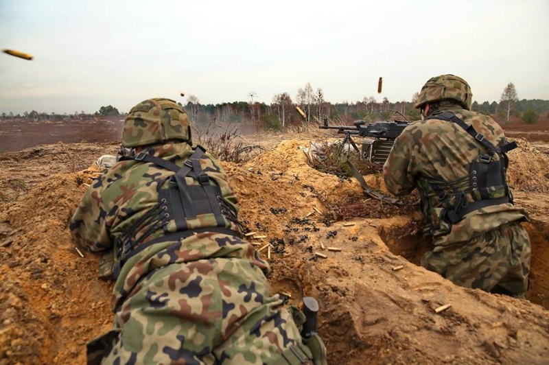 Les Forces Armées Polonaises/Polish Armed Forces - Page 17 12461