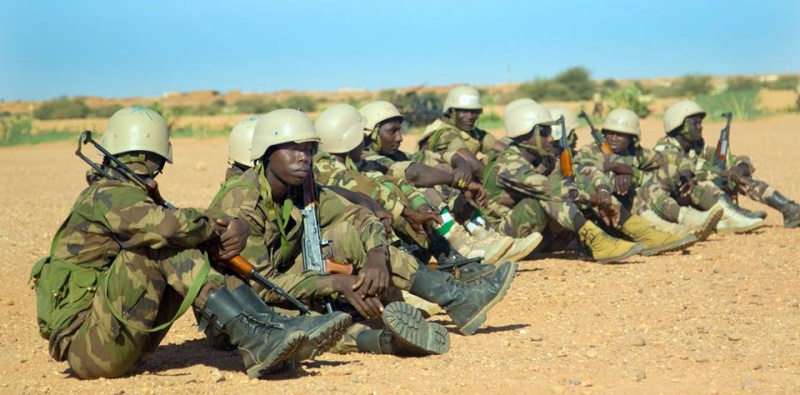 Forces Armées Nigeriennes / Niger Armed Forces ( FAN ) 13176