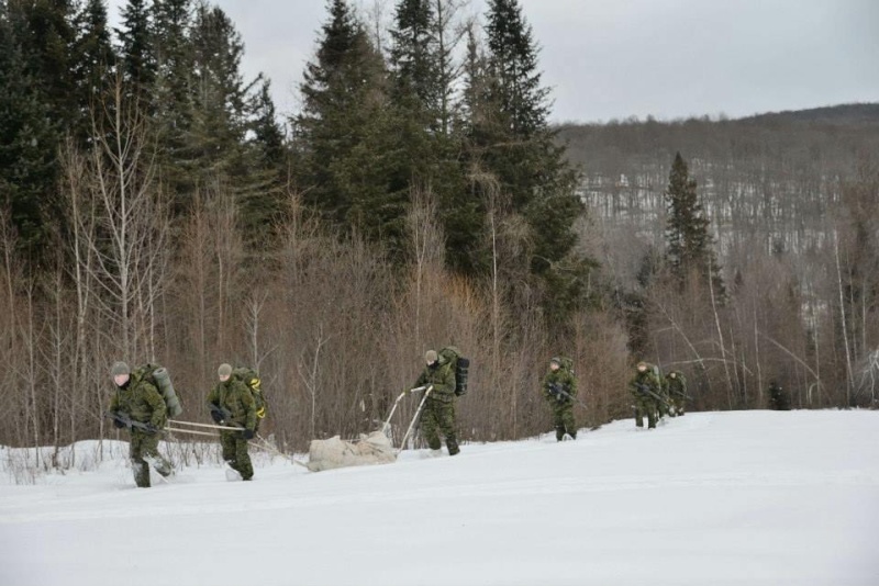 Armée canadienne/Canadian Armed Forces - Page 23 14226