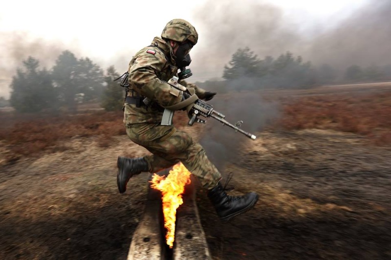 Les Forces Armées Polonaises/Polish Armed Forces - Page 17 14238