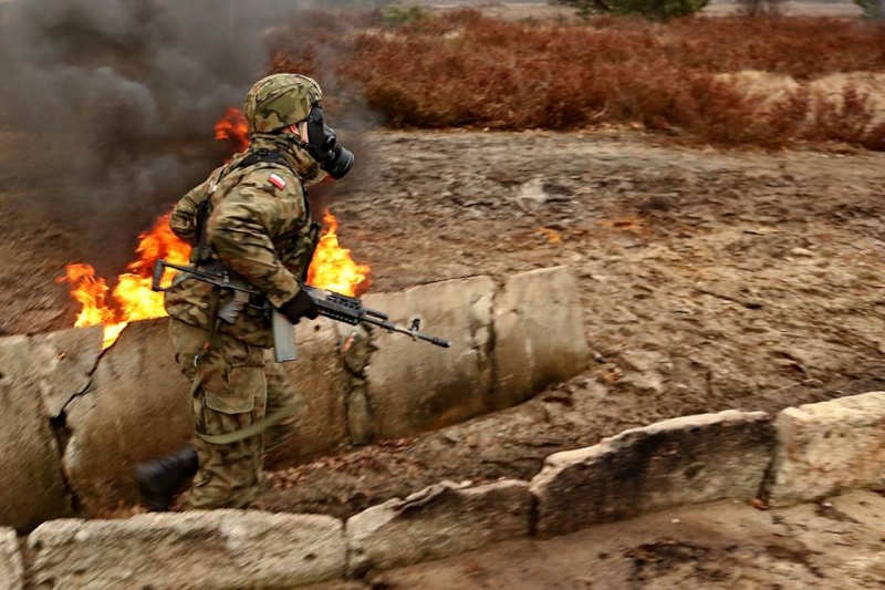 Les Forces Armées Polonaises/Polish Armed Forces - Page 17 2061