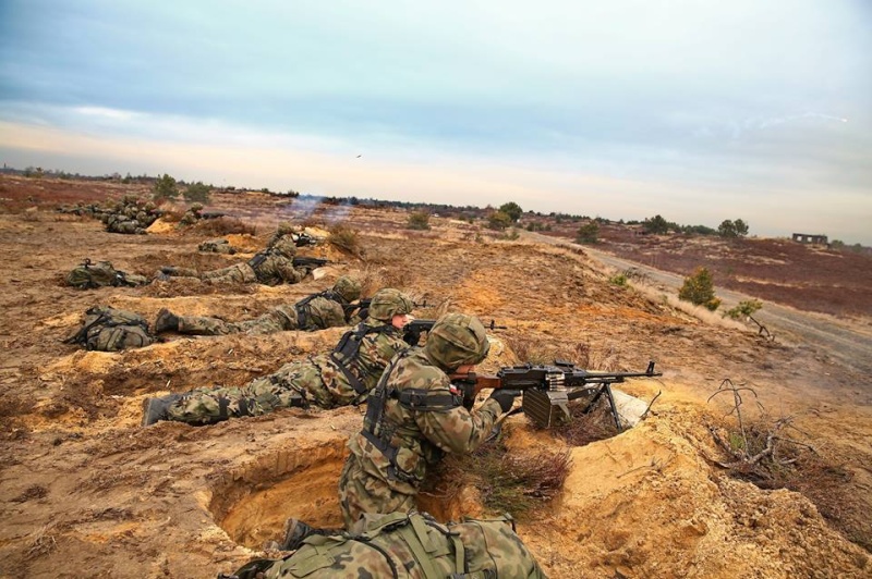 Les Forces Armées Polonaises/Polish Armed Forces - Page 17 2248