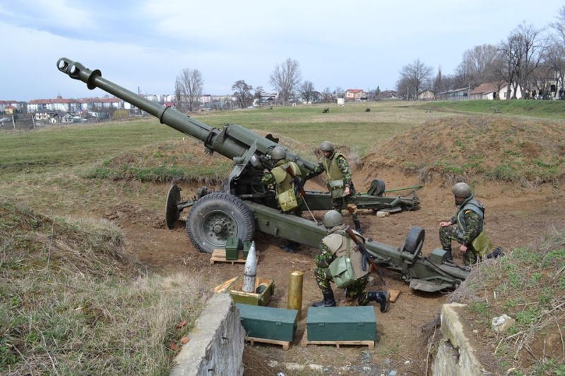 Armée Roumaine/Romanian Armed Forces/Forţele Armate Române - Page 8 2810