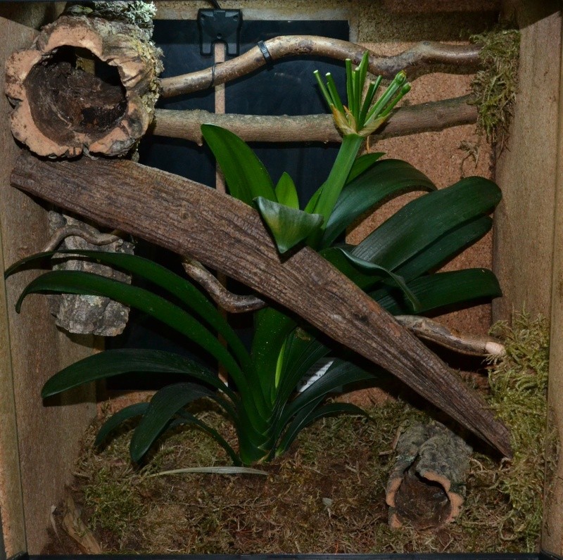 Nouvelle pièce! Donc nouveau post ^^ Dsc_0313