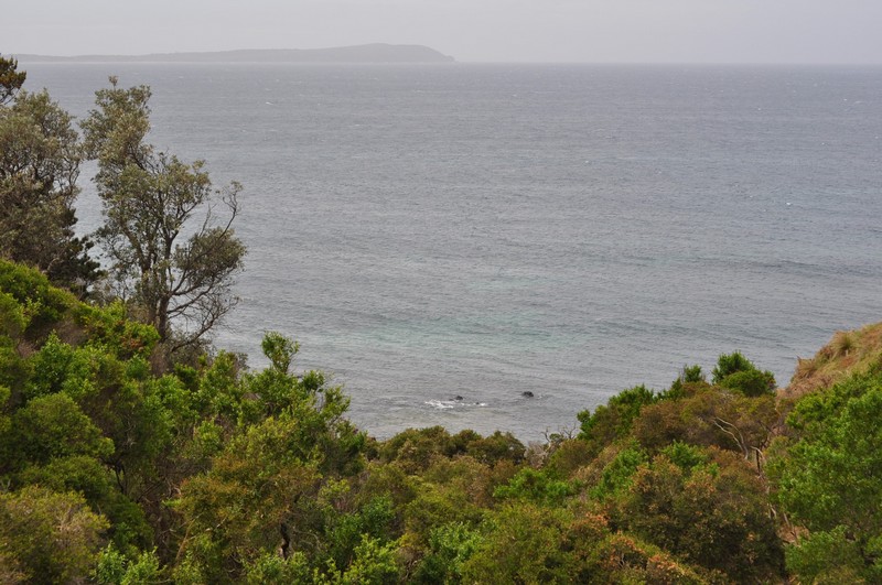 CR PHILIP ISLAND MOTO GP 2015 Dsc_0211