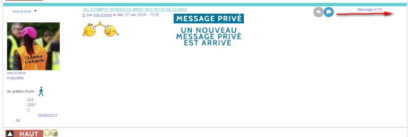 boutons d'édition des messages (invision) 2016-062