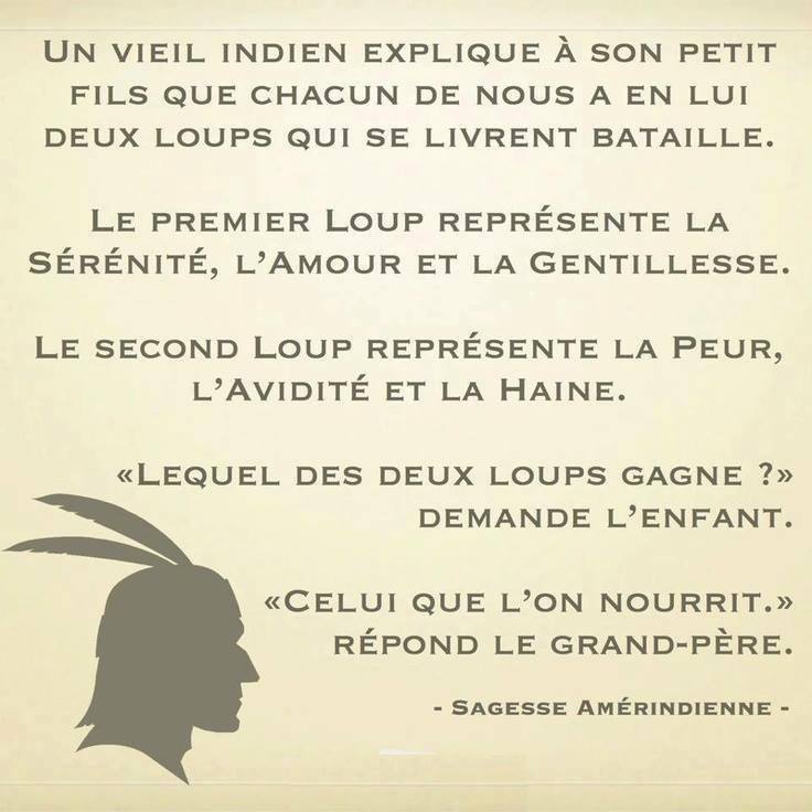 La pensée du jour - Page 10 12243410