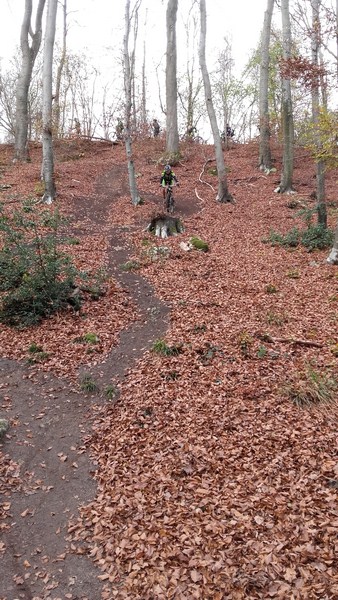 15-11-2015 - Forêt de Hez au départ de Bresles - Page 2 20151112