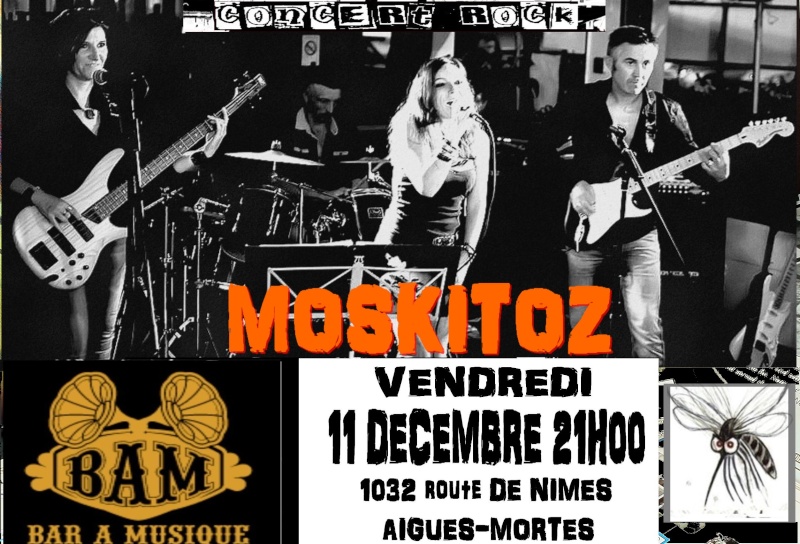 Ce soir "Moskitoz" au BAM Dsc05410