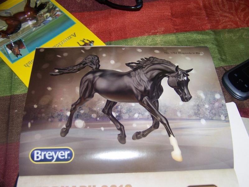 Breyer 2016 100_2910