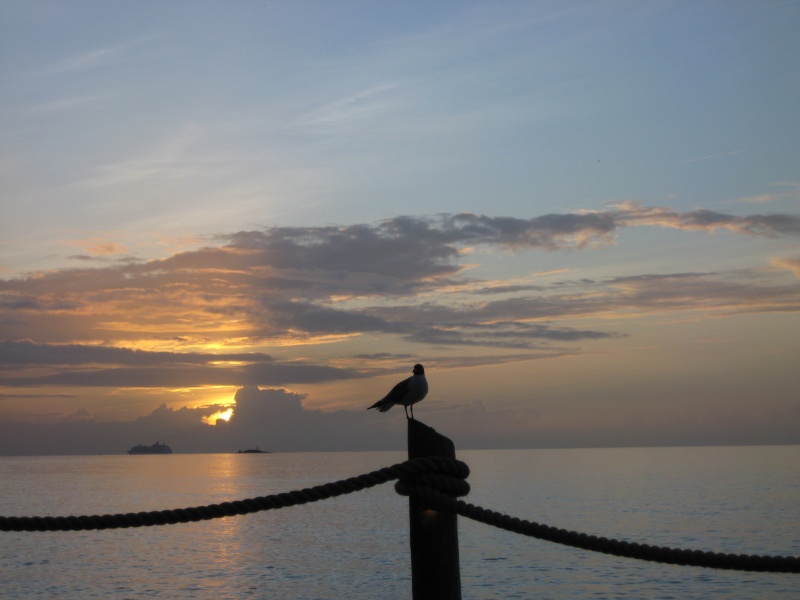 Caribbean Islands, Antigua, Galley Bay 02910