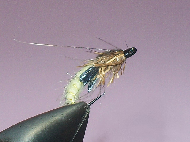 Fly tying contest "Top ten flies" 100_8217