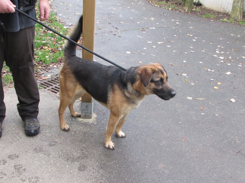 DAISY x BA 0181210