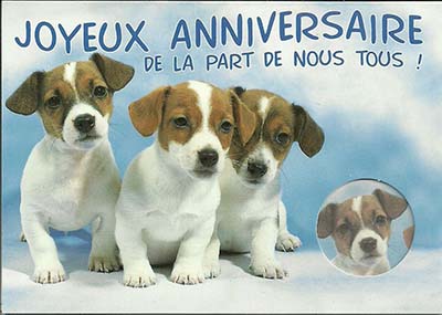 Bon Anniversaire Sylvie Bon Anniversaire Sylvie