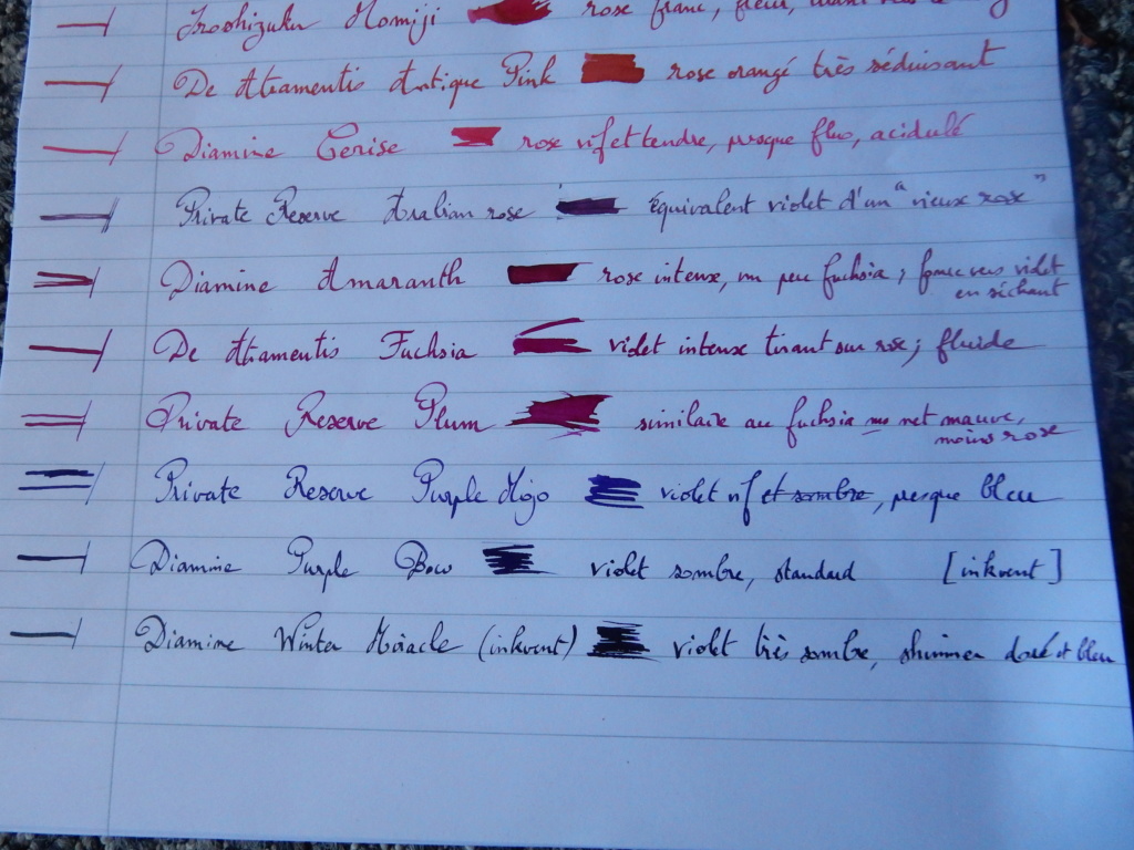 Stylos plume - Page 23 Dscn9312