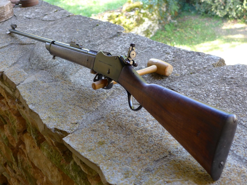  carabine martini  henry conversion Bonehill  P1000910