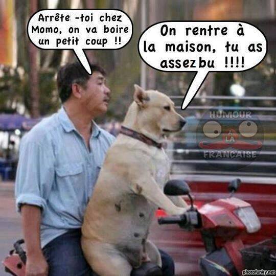 Insolite  animaux . - Page 9 12391210