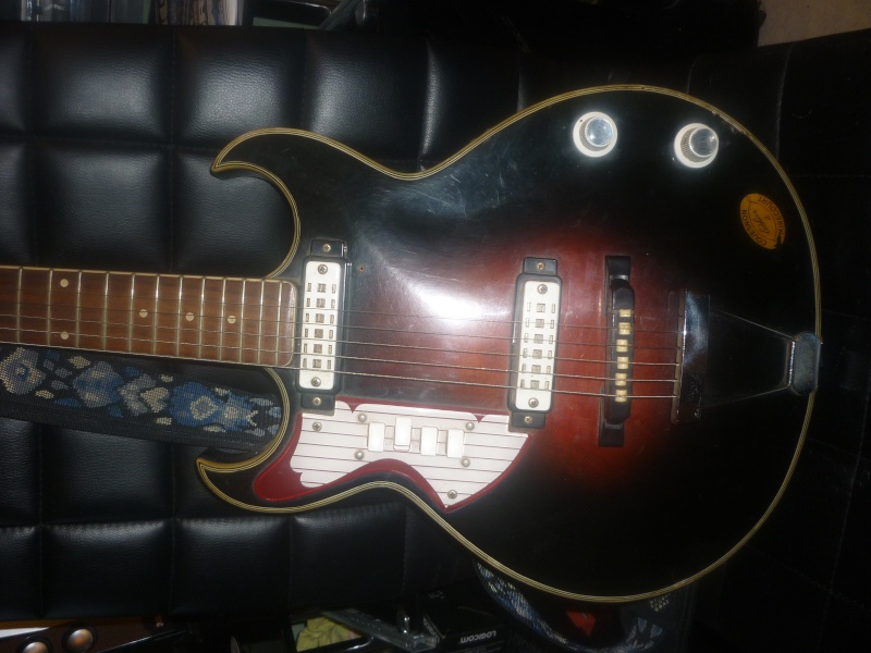 Vintage guitares P1130511