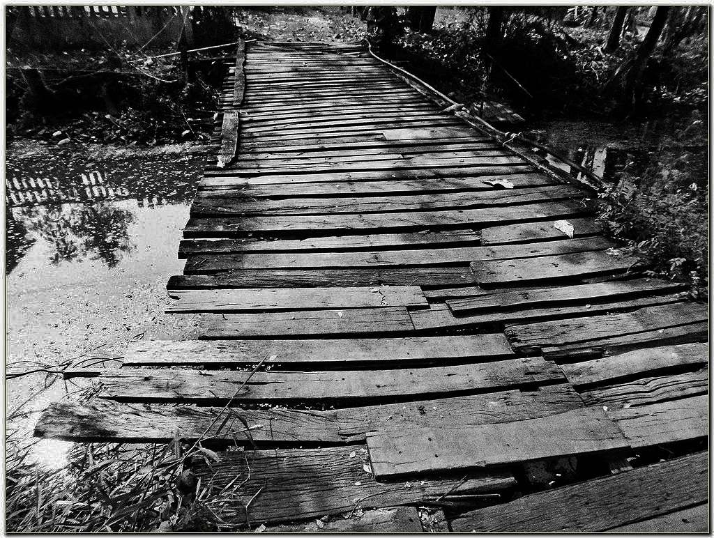 Un pont de bois a Nong_Han 24078910