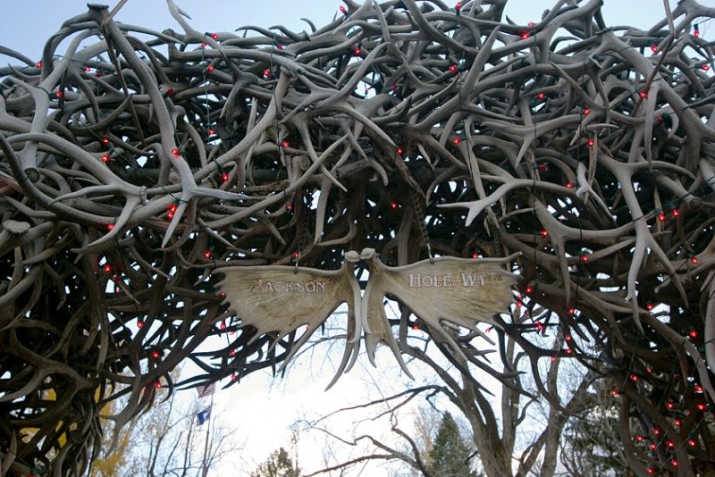 Le plus grand arc en bois de Wapiti au monde, Afton, Wyoming - États-Unis 10368111