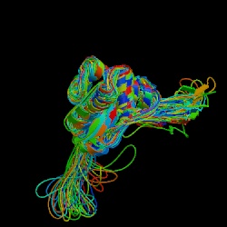 DNA replication of prokaryotes Image010