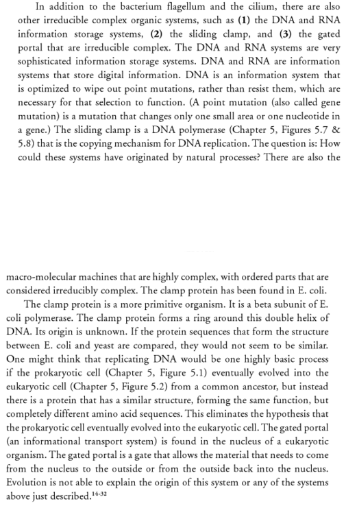 DNA replication of prokaryotes - Page 2 Slidin12