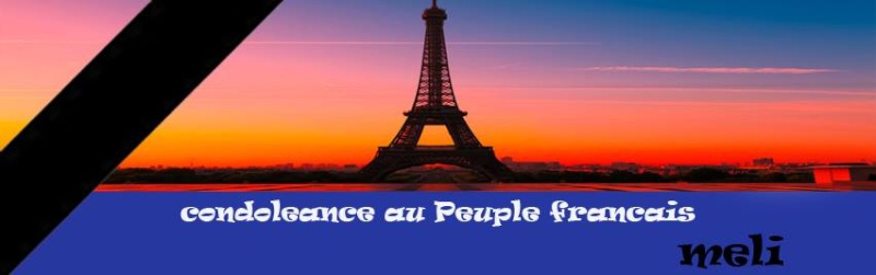 Hommage aux victimes des attentats à Paris ce vendredi 13 novembre    12270310