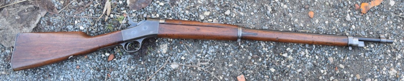 Le fusil Rolling Block 8mm m1901 et sa baïonnette  Dsc_1810