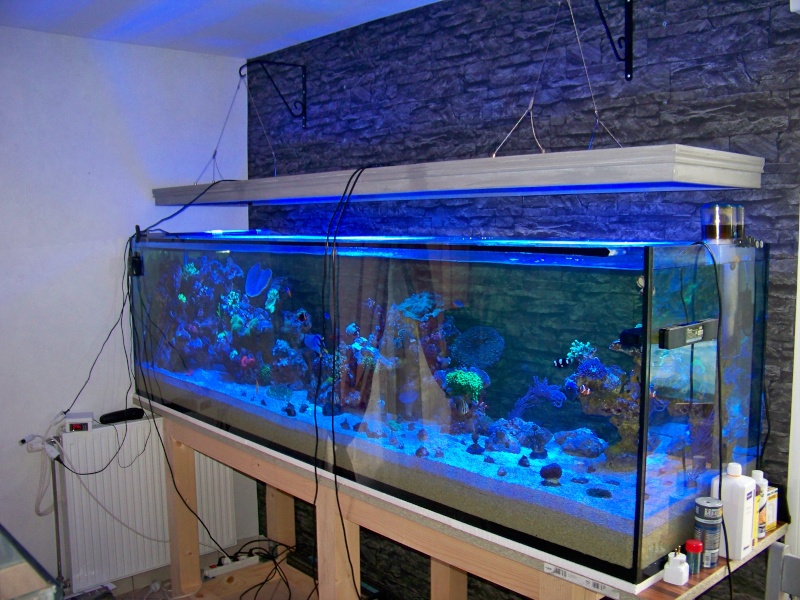 1050L +350L - Page 2 100_4618