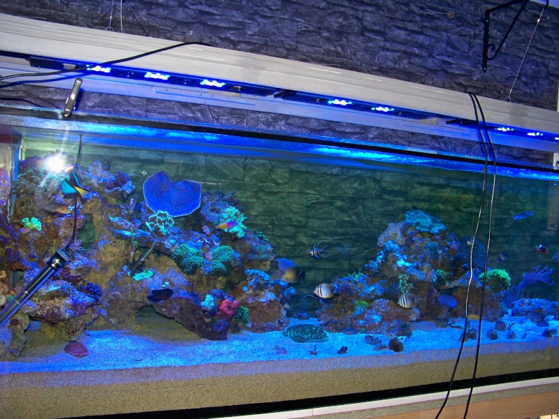 1050L +350L - Page 2 100_4619